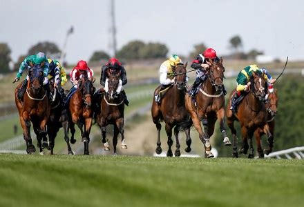 gyto bets|GYTO Friday Notebook Double .